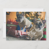 Bah Humbug Albern Pet Foto Holiday Card Einladung (Vorderseite)