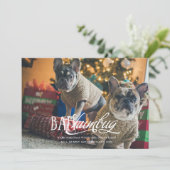 Bah Humbug Albern Pet Foto Holiday Card Einladung (Stehend Vorderseite)