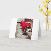 Bah Humbug Beagle Weihnachtskarte Karte (Gelbe Blume)