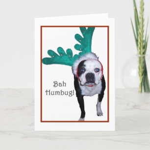 Bah Humbug! - Boston Terrier Feiertagskarte