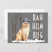 Bah Humbug Funny Cat Weihnachten Postkarte (Vorne/Hinten)