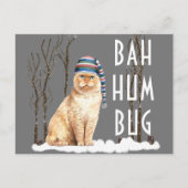 Bah Humbug Funny Cat Weihnachten Postkarte (Vorderseite)