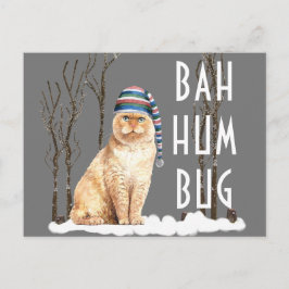 Bah Humbug Funny Cat Weihnachten Postkarte