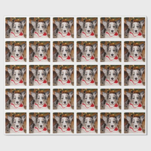 Bah Humbug-Packpapier Geschenkpapier (Flach)