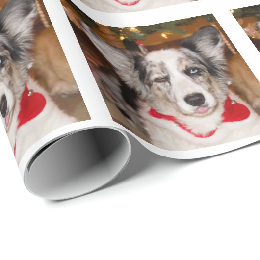 Bah Humbug-Packpapier Geschenkpapier (Rolleneckpunkt)