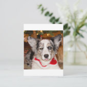 Bah Humbug!!! Postkarte (Stehend Vorderseite)