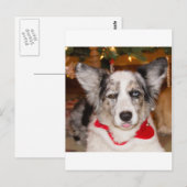 Bah Humbug!!! Postkarte (Vorne/Hinten)