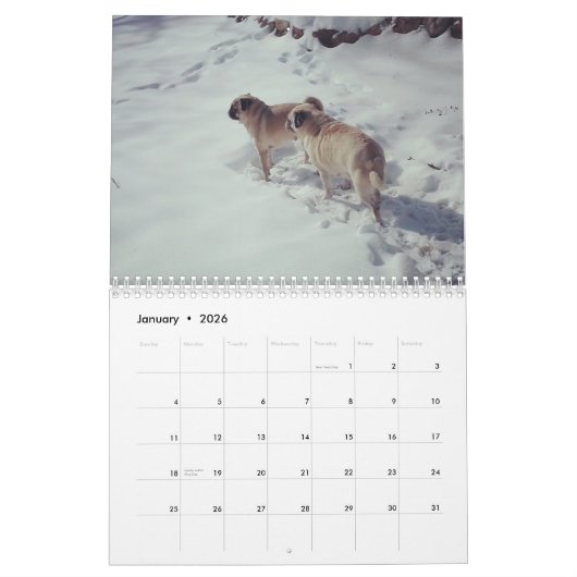 Bah Humpug sonniger u. rosiger Kalender 2016 (Jan 2026)