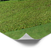 Bahai Gardens in Haifa, Israel Poster (Ecke)