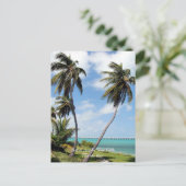 Bahai Honda Staat Park, Florida Keys Postkarte (Stehend Vorderseite)