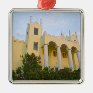 BAHAMAS, Abacos, Great Abaco Island, Sumpf Silbernes Ornament