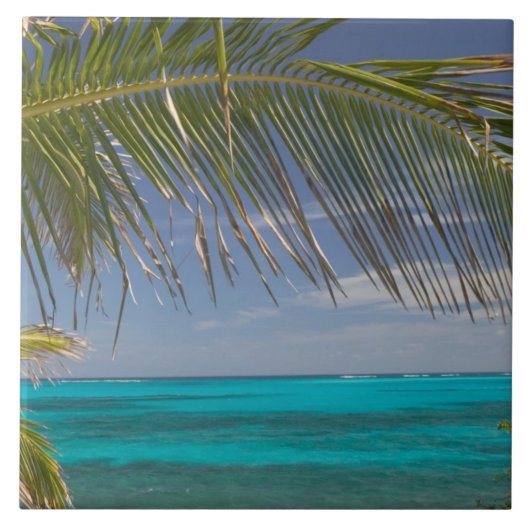 BAHAMAS, Abacos, Loyalist Cays, Man O-War Cay: Fliese (Vorderseite)