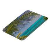 BAHAMAS, Abacos, Loyalist Cays, Man O'War Cay: Magnet (Linke Seite)