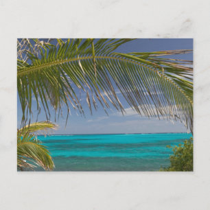 BAHAMAS, Abacos, Loyalist Cays, Man O'War Cay: Postkarte