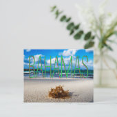 Bahamas Beach Nah aufwärts Postkarte (Stehend Vorderseite)