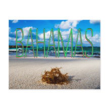 Bahamas Beach Nah aufwärts