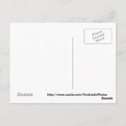 Bahamas gestörte 3 Postkarten (Rückseite)