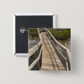 BAHAMAS, Grand Bahama Island, Ostseite: Button (Vorne & Hinten)