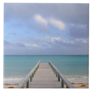 BAHAMAS, Grand Bahama Island, Ostseite: Fliese