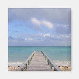 BAHAMAS, Grand Bahama Island, Ostseite: Magnet