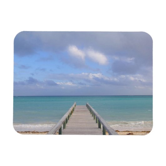 BAHAMAS, Grand Bahama Island, Ostseite: Magnet (Horizontal)