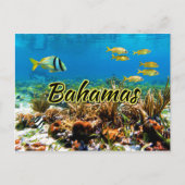 Bahamas-Korallenriff Postkarte (Vorderseite)
