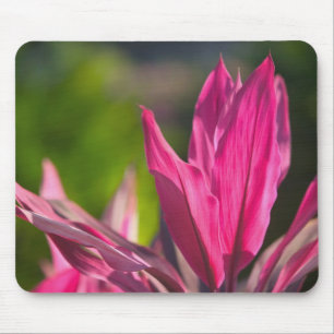 BAHAMAS, New Providence Island, Nassau: Paradies Mousepad