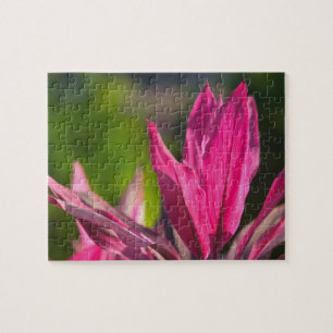 BAHAMAS, New Providence Island, Nassau:Paradies Puzzle