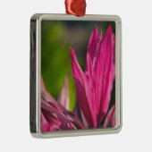 BAHAMAS, New Providence Island, Nassau:Paradies Silbernes Ornament (Rechts)