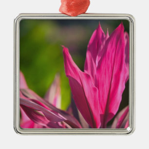 BAHAMAS, New Providence Island, Nassau:Paradies Silbernes Ornament