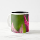 BAHAMAS, New Providence Island, Nassau:Paradies Zweifarbige Tasse (Vorderseite Links)