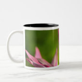 BAHAMAS, New Providence Island, Nassau:Paradies Zweifarbige Tasse (Links)