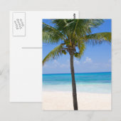 Bahamas Palm Tree Postkarte (Vorne/Hinten)