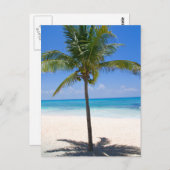 Bahamas Palm Tree Postkarte (Vorne/Hinten)