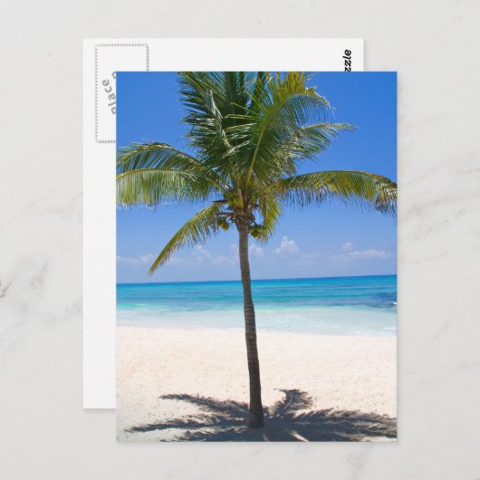 Bahamas Palm Tree Postkarte (Vorne/Hinten)