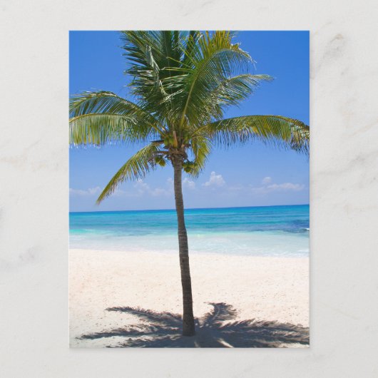 Bahamas Palm Tree Postkarte (Vorderseite)