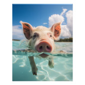 Bahamas Schwimmen Fotodruck (Vorne)