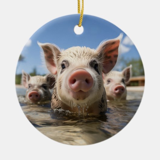 Bahamas Schwimmen Schweine - Exuma Pig Beach Adven Keramik Ornament (Vorne)