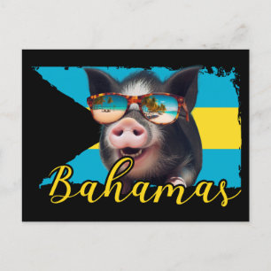 Bahamas Schwimmende Schweine - Exuma Schweine Stra Postkarte