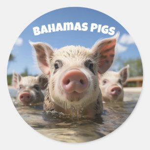 Bahamas Schwimmende Schweine - Exuma Schweine Stra Runder Aufkleber