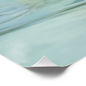 Bahamas Schwimmschwein 2024 Poster (Ecke)