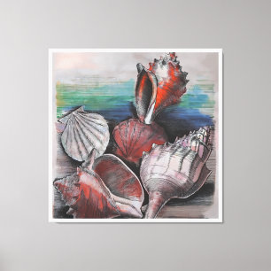 Bahamas Seashell Symphony, No.002 Leinwanddruck