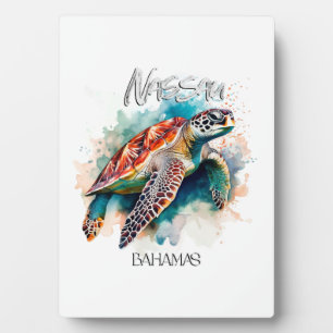 Bahamas Sitz Schildkröte Bahamische Flagge Strand Fotoplatte