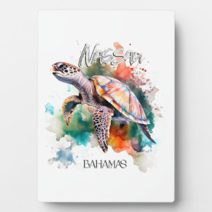 Bahamas Sitz Schildkröte Bahamische Flagge Strand Fotoplatte