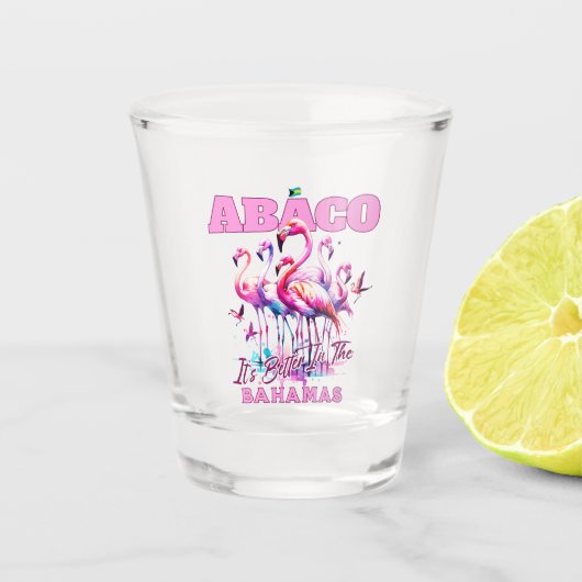 Bahamas Souvenir Geschenk : Abaco Bahamas Flamingo Schnapsglas (Vorderseite)