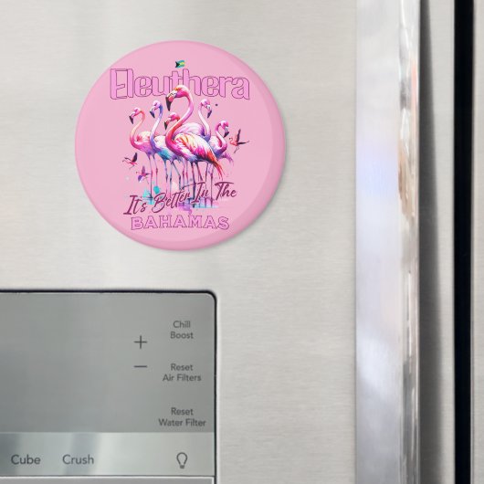 Bahamas Souvenir Geschenk : Eleuthera Bahamas Flam Magnet (In Situ (Kühlschrank))