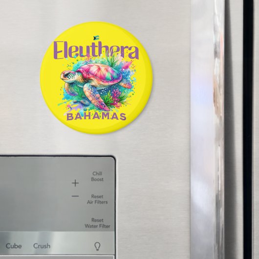 Bahamas Souvenir Geschenk : Eleuthera Bahamas Turt Magnet (In Situ (Kühlschrank))