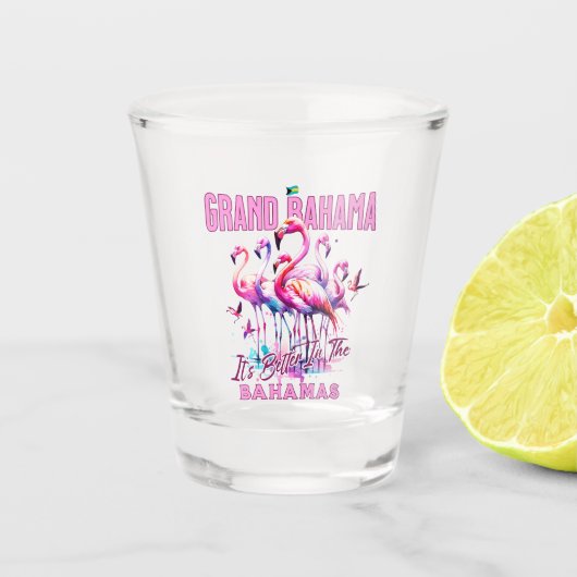 Bahamas Souvenir Geschenk: Grand Bahama Flamingo B Schnapsglas (Vorderseite)