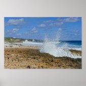 Bahamas Splash, Great Abaco Island, Bahamas Poster (Vorne)