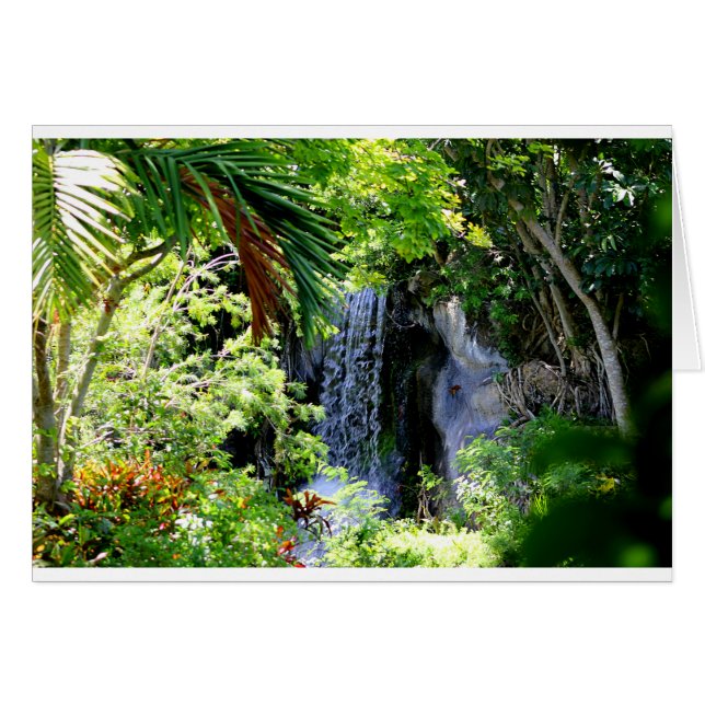 Bahamas Waterfall (Vorderseite (Horizontal))